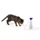 Product Whisker City® Automatic Rotating Laser Pointer