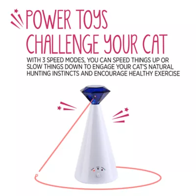 Product Whisker City® Automatic Rotating Laser Pointer