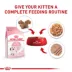 Royal Canin Kitten Wet Food - Texture Variety Pack, 12 Ct, 2.2 Lb image thumbnail 6