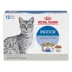 Royal Canin Adult Cat Wet Food - Indoor, Morsels in Gravy, 12 Ct, 2.2 Lb image thumbnail 1