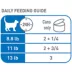 Royal Canin Adult Cat Wet Food - Indoor, Morsels in Gravy, 12 Ct, 2.2 Lb image thumbnail 4