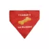 Hip Doggie Reversible Dog Bandana image thumbnail 2