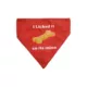 Product Hip Doggie Reversible Dog Bandana
