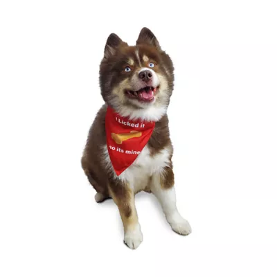 Product Hip Doggie Reversible Dog Bandana