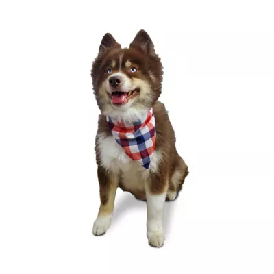 Product Hip Doggie Reversible Dog Bandana