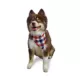 Product Hip Doggie Reversible Dog Bandana