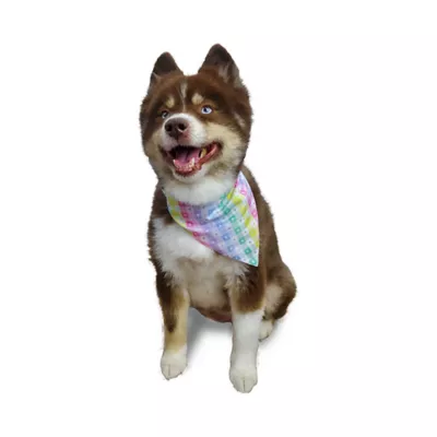 Product Hip Doggie Reversible Bandana