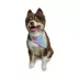 Hip Doggie Reversible Bandana image thumbnail 5