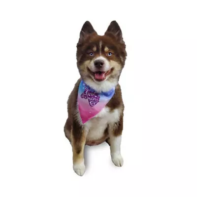Hip Doggie Reversible Bandana - Image 4