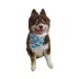 Hip Doggie Reversible Bandana Christmas Themed image thumbnail 5