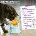 Catstages Spinning Fish Topper Interactive Treat-Dispensing Cat Toy image thumbnail 6