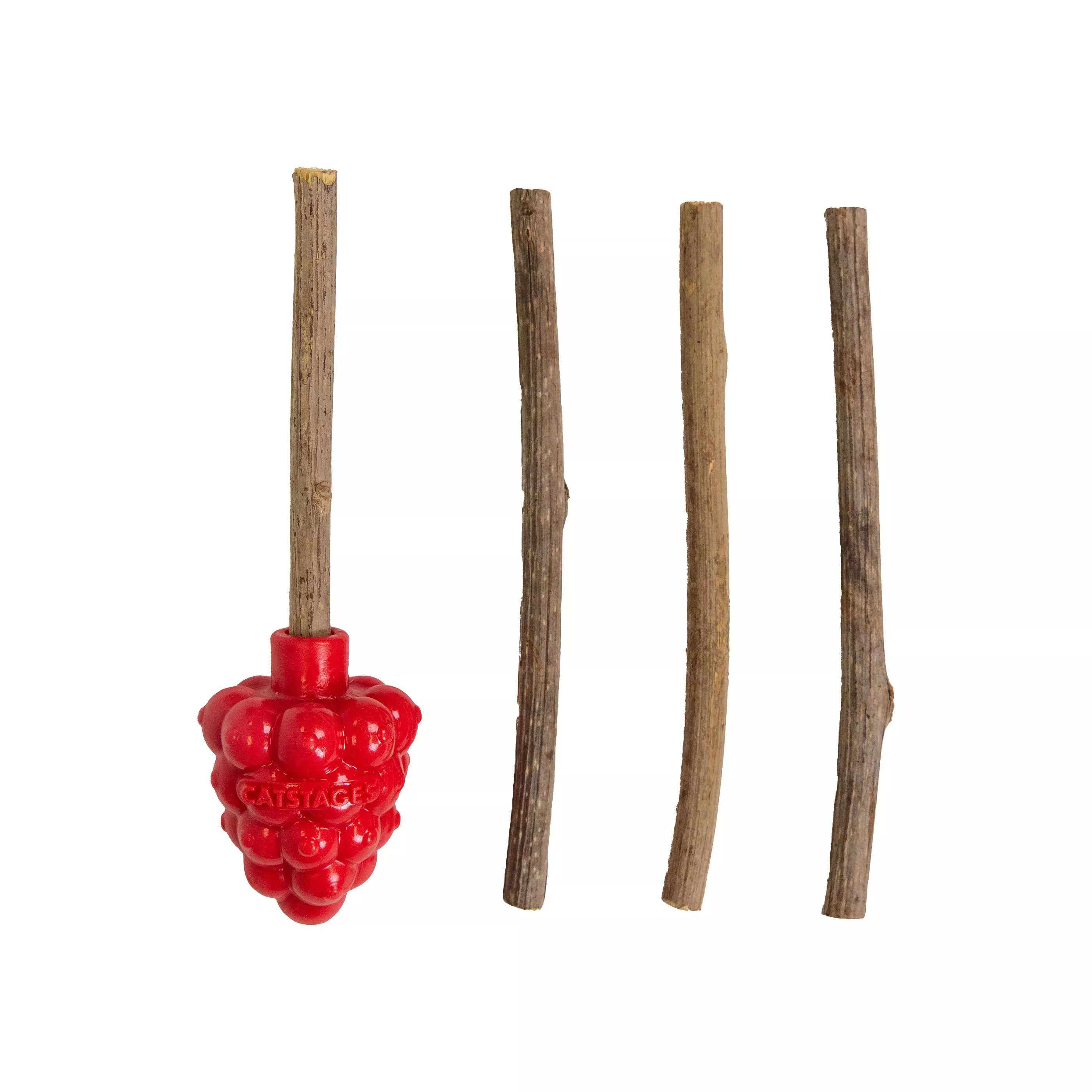 Catstages Dental Raspberry Teether with Silvervine Sticks Cat Toy