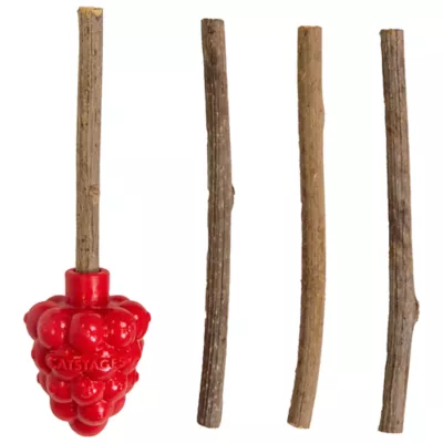 Product Catstages Dental Raspberry Teether with Silvervine Sticks Cat Toy