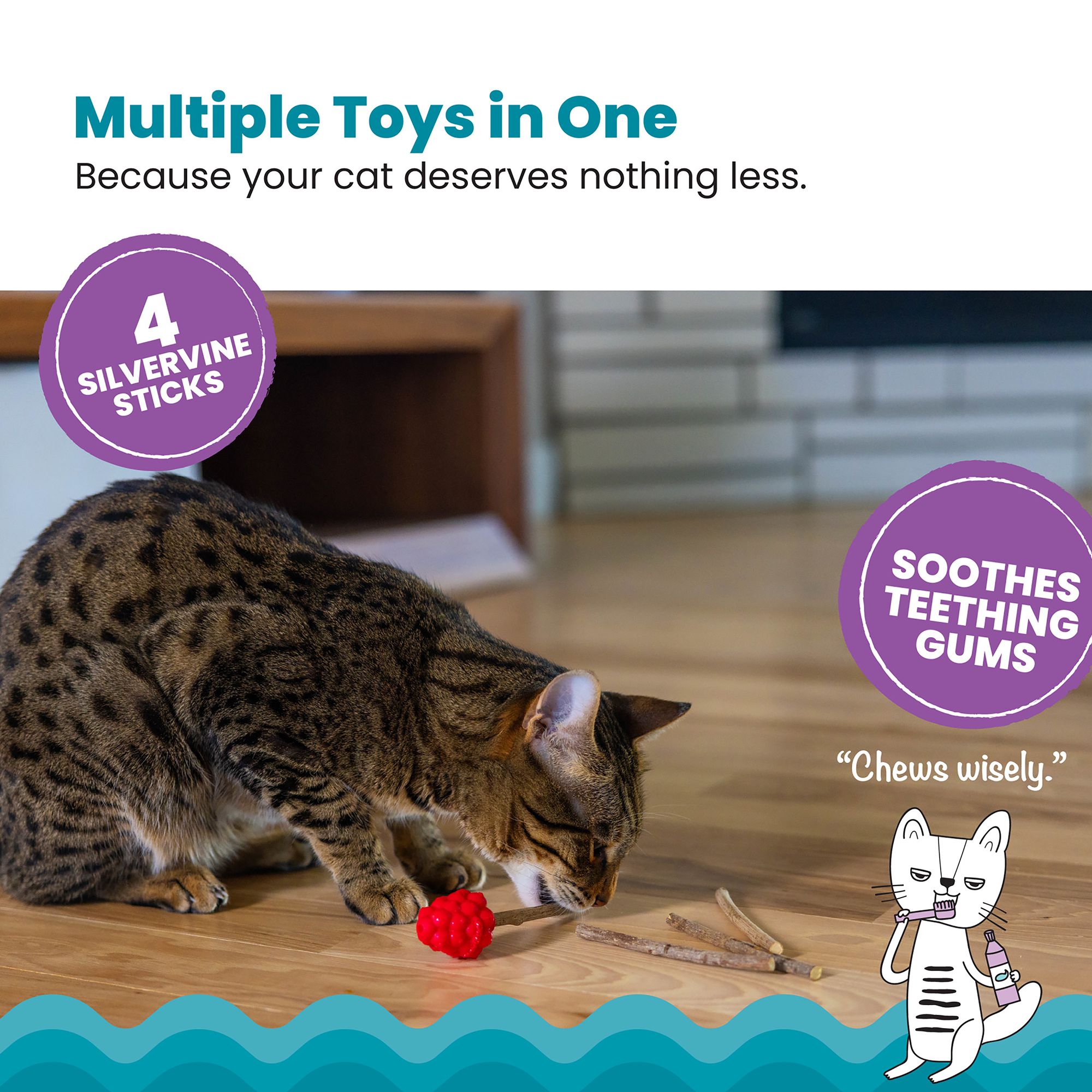 Catstages Dental Raspberry Teether with Silvervine Sticks Cat Toy - thumbnail 2