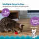 Product Catstages Dental Raspberry Teether with Silvervine Sticks Cat Toy