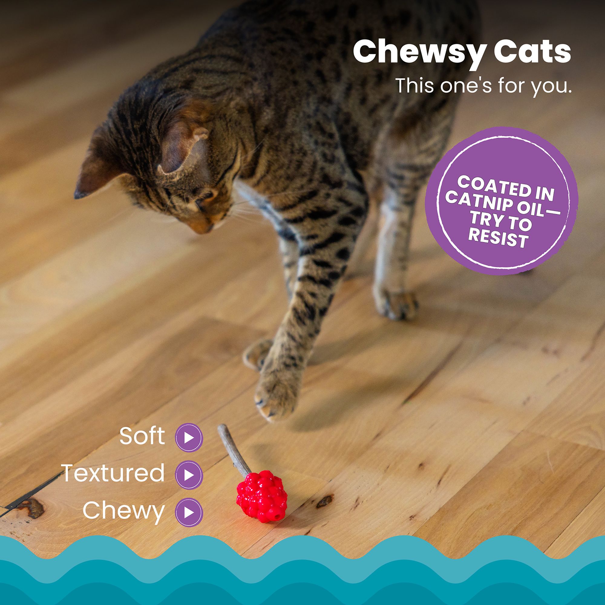 Catstages Dental Raspberry Teether with Silvervine Sticks Cat Toy - thumbnail 3