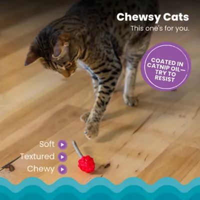 Product Catstages Dental Raspberry Teether with Silvervine Sticks Cat Toy