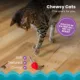 Product Catstages Dental Raspberry Teether with Silvervine Sticks Cat Toy