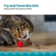 Product Catstages Dental Raspberry Teether with Silvervine Sticks Cat Toy
