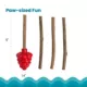 Product Catstages Dental Raspberry Teether with Silvervine Sticks Cat Toy