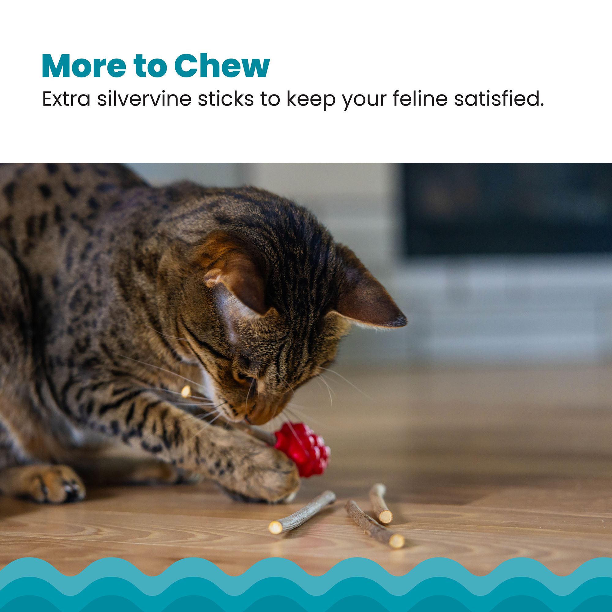 Catstages Dental Raspberry Teether with Silvervine Sticks Cat Toy - thumbnail 7