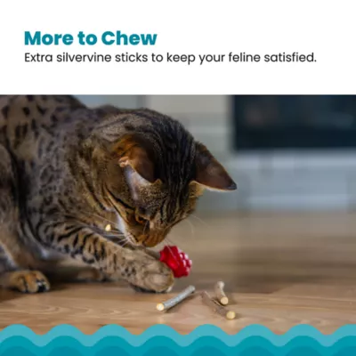 Product Catstages Dental Raspberry Teether with Silvervine Sticks Cat Toy