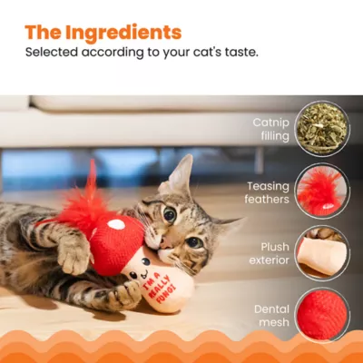 Product Catstages A Really Fungi Mushroom Kicker Catnip Stuffed Dental Cat Toy