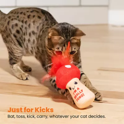 Product Catstages A Really Fungi Mushroom Kicker Catnip Stuffed Dental Cat Toy