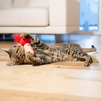Product Catstages A Really Fungi Mushroom Kicker Catnip Stuffed Dental Cat Toy