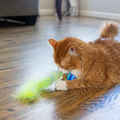 Product Catstages Roll & Chase Robot Cat Toy