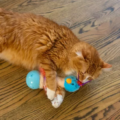 Product Catstages Dancing Ostrich Electronic Cat Toy