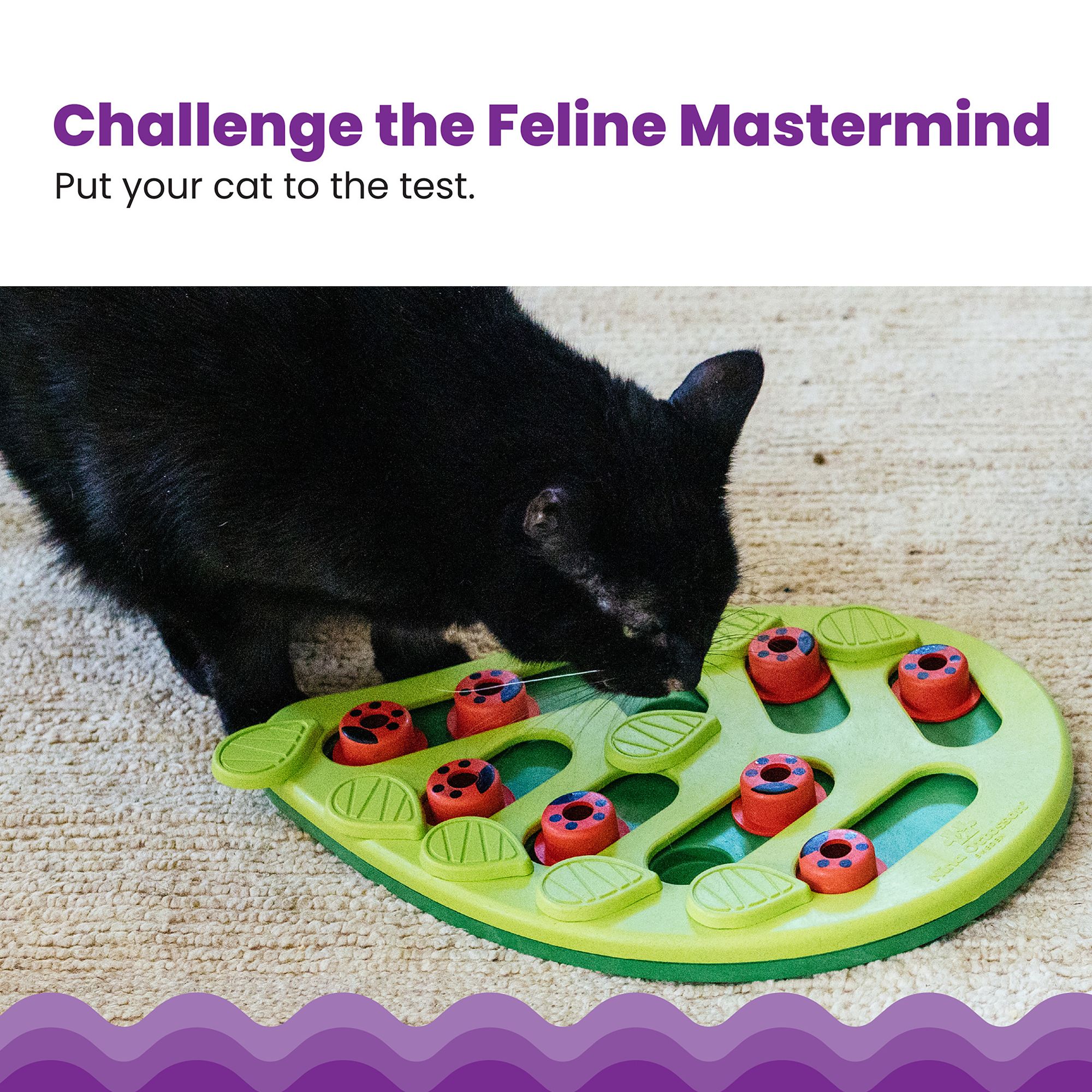 Catstages Nina Ottosson Buggin Out Puzzle Cat Toy - thumbnail 2