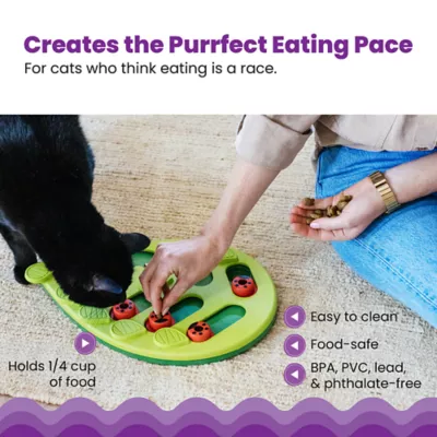 Product Catstages Nina Ottosson Buggin' Out Puzzle Cat Toy