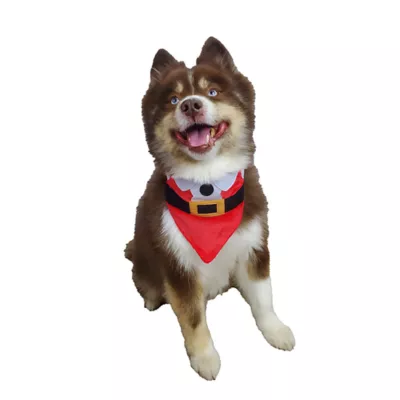 Hip Doggie Reversible Bandana Christmas Themed - Image 4
