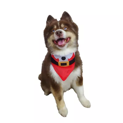 Hip Doggie Reversible Bandana Christmas Themed - Image 4