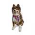 Hip Doggie Reversible Dog Bandana image thumbnail 5