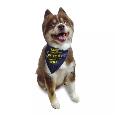 Hip Doggie Reversible Fetch Dog Bandana - Image 4