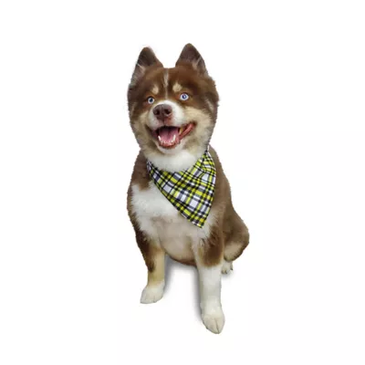 Hip Doggie Reversible Fetch Dog Bandana - Image 5