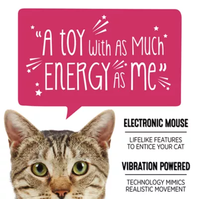 Product Whisker City® Natural Electronic Mouse Cat Toy
