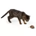 Whisker City® Natural Electronic Mouse Cat Toy image thumbnail 3