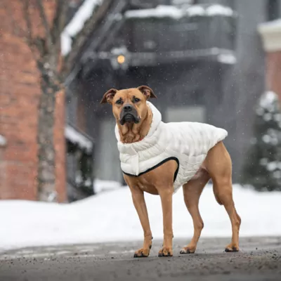 GF PET Elasto-Fit Cloud Parka - Sand - Image 6