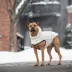 GF PET Elasto-Fit Cloud Parka - Sand image thumbnail 6