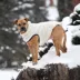 GF PET Elasto-Fit Cloud Parka - Sand image thumbnail 6