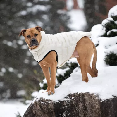 GF PET Elasto-Fit Cloud Parka - Sand - Image 6