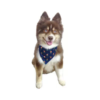Hip Doggie Holiday Reversible Bandana - Image 5