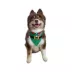 Hip Doggie Holiday Reversible Bandana image thumbnail 4