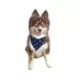Hip Doggie Holiday Reversible Bandana image thumbnail 5