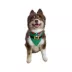 Hip Doggie Holiday Reversible Bandana image thumbnail 4