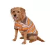 Max's Closet Retro Stripe Dog Polo image thumbnail 3
