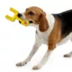 Product Cleveland Browns Hard Nylon Football Dog Chew Toy